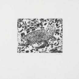 Tortue II Eau-forte, 48/75 17 x 22 po 1968